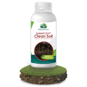 Clean Soil