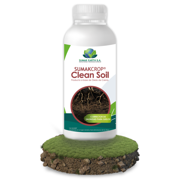 Clean Soil